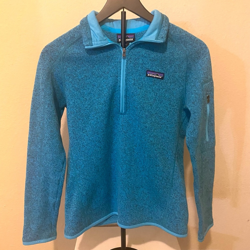Patagonia Vibrant Blue Fleece Pullover